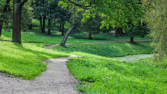 夏季公园小径。 绿树石径。 在新鲜空气中行走。 夏季背景屏保