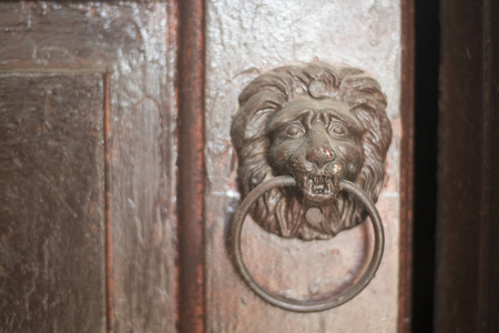 s head on an wooden door.