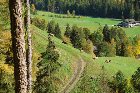 Ultimo, South Tyrol, Italy