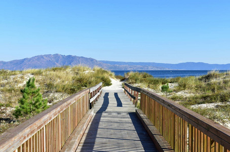 沙丘上有木板路和植被的海滩。 小山蓝天。 晴天加利西亚西班牙。