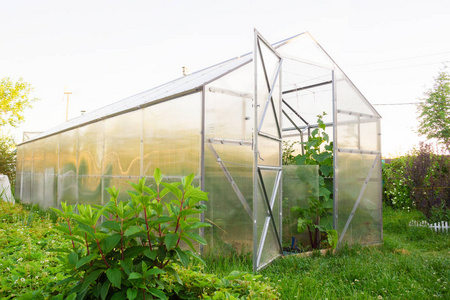 花园里的聚碳酸酯温室。 三角形屋顶。