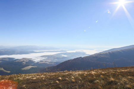 山，风景，森林，日落