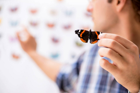 研究蝴蝶新物种的学生昆虫学家