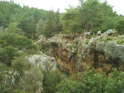 森林低山丘陵岩石和石头的自然景观。