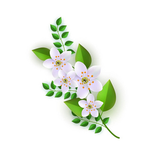白色花和绿叶枝条的花卉成分向量例证