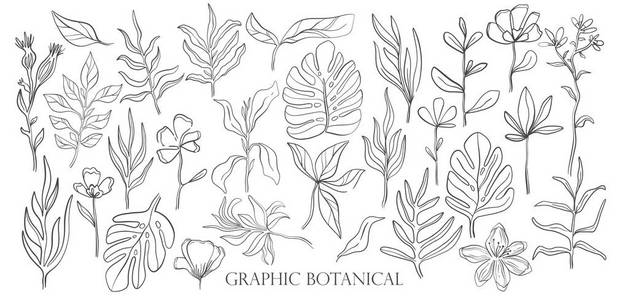 手绘素描风格野花。 线条自然风格的弗洛拉和绘制植物学。 矢量图。