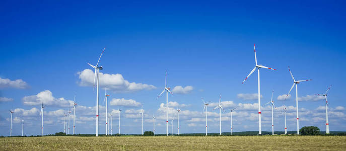 许多风力涡轮机分散在麦田里