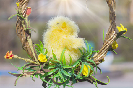 阳光明媚的小复活节鸡。