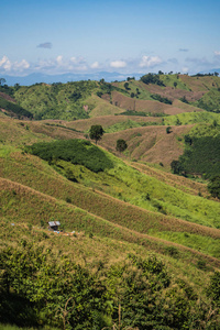 进山的路。