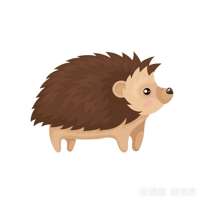 可爱的刺猬刺动物卡通人物侧视向量在白色背景例证