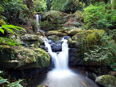 在泰国南省森林中，在最低水平的日本水中长时间暴露