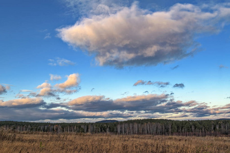 秋天的风景，草地上有干草，背景是森林和夕阳，天空中有云