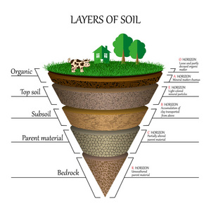 层层土壤教育图。 矿物颗粒砂腐殖质和石粘土天然肥料。 横幅模板页海报矢量插图。