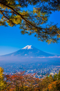 日本大林秋季枫叶树四周美丽的富士山景观，白云蓝天