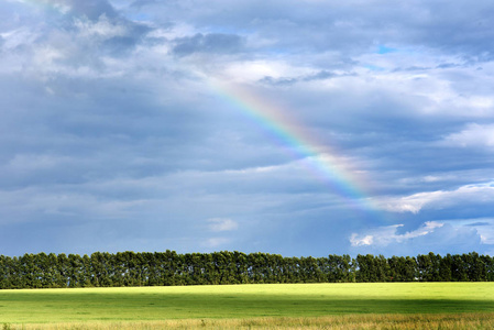 绿色田野上五颜六色的彩虹