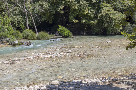 在一个阳光明媚的夏天希腊埃皮鲁斯地区，一条寒冷的快速的阿切龙河在森林中部流动。