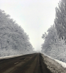 冬天，雪，冰和滑的路边所有这些都使道路对司机来说是危险的。