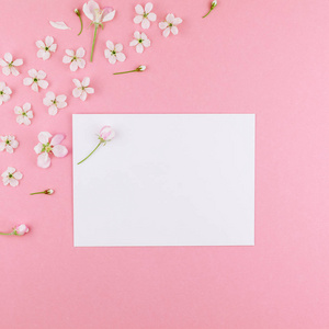 方形平躺概念顶部视图空白明信片框架模拟和樱桃树花在粘贴千禧粉红色背景与复制空间在最小风格模板的文字或设计