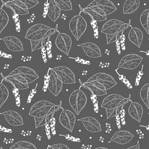 胡椒。植物。叶子, 水果。纹理, 壁纸, 无缝。素描。灰色背景