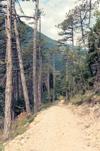 佩罗洛迪卡多里村附近的山景