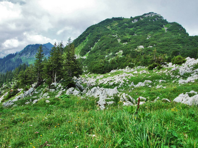 靠近瑞士圣加伦州伯尔尼顿村的山区