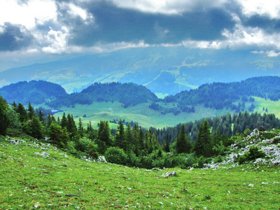 瑞士圣加伦州奥伯多根堡山区景观全景