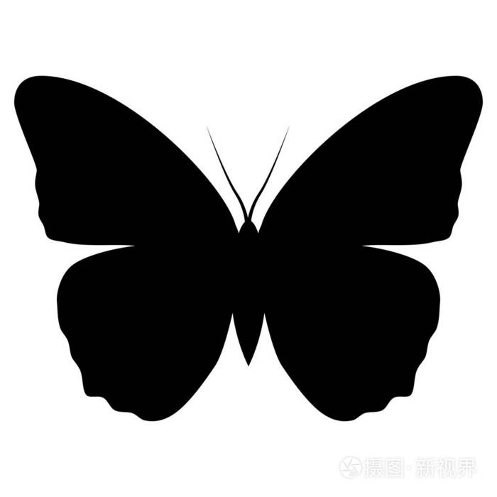 白色背景下蝴蝶图标的剪影