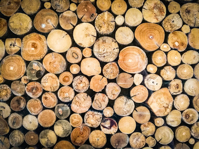 木材原木背景木制天然切割原木纹理背景许多心材墙原木，各种大小一堆柴木树干储存在森林中