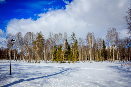 冬季公园景观。 美丽的风景。 大自然