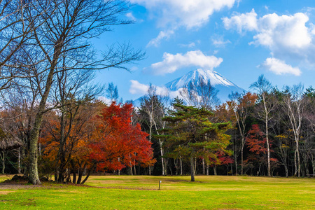 日本秋季环湖枫叶树的富士山美景