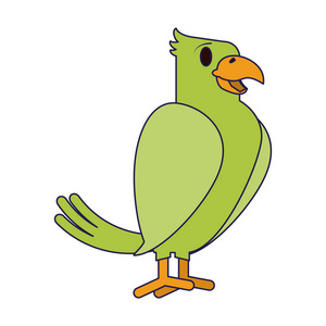 鹦鹉鸟卡通孤立矢量插图图形设计