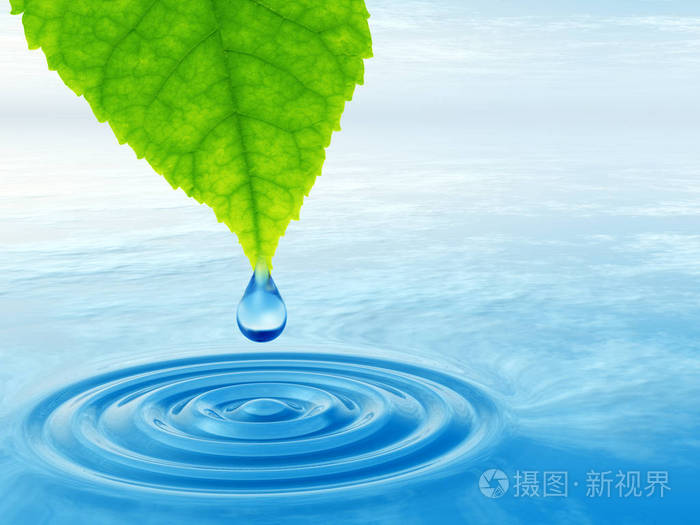 概念或概念清洁泉水或露水从绿色的新鲜叶子上落下在三维插图蓝色的