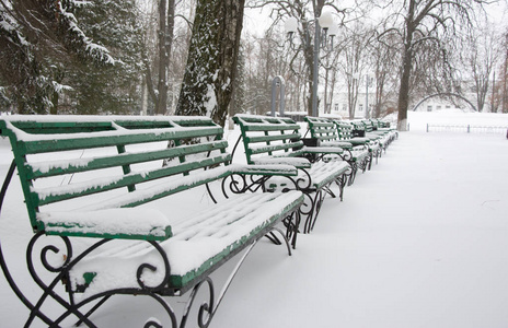 公园里一排长满了雪的长凳