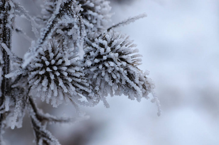 在雪地里受伤