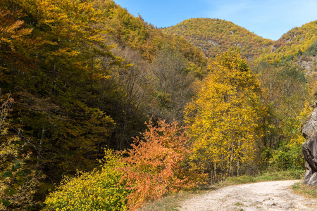 保加利亚Smolyan地区生态铁路Struilitsa和Devin河峡谷的秋景