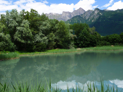 田园诗般的池塘，周围是芦苇和绿林，后面是山峰