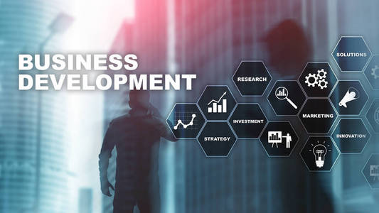 业务发展创业成长统计..财务计划策略发展过程