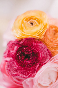 玫瑰花新娘花束婚礼假日和花圃设计的概念优雅的视觉