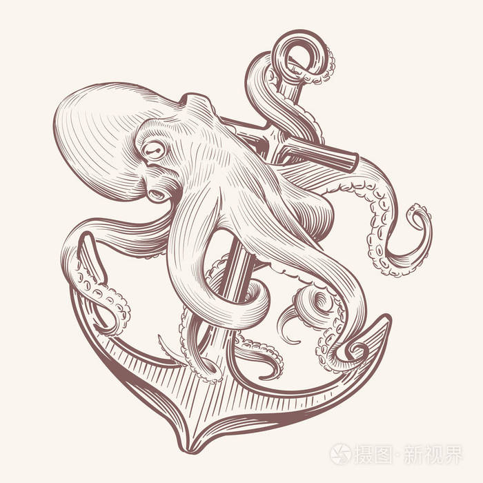 素描海克拉肯鱿鱼举行船锚.八达通海军纹身矢量复古设计