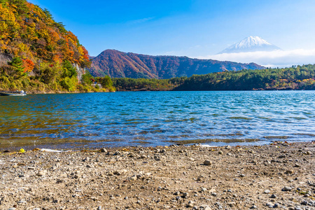 日本大林秋季湖泊四周枫叶树的富士山美景