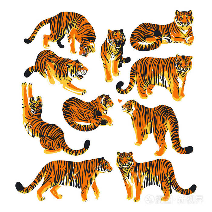 不同姿势的老虎图形收集