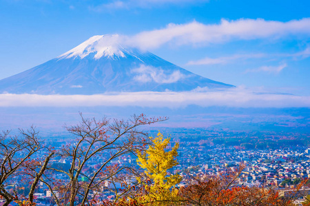 日本大林秋季枫叶树四周美丽的富士山景观，白云蓝天