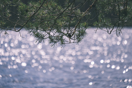 湖畔海滩风景，细节背景