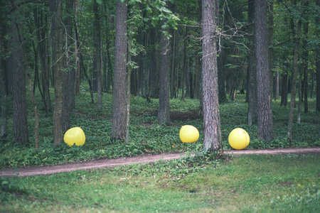 黄色气球在森林小径上滚动