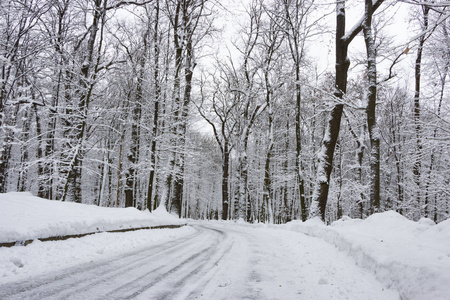 冬天的路上，森林和树木在阴天的雪背景下