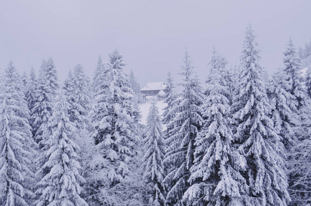 乌克兰冬季亚雷米切村景色