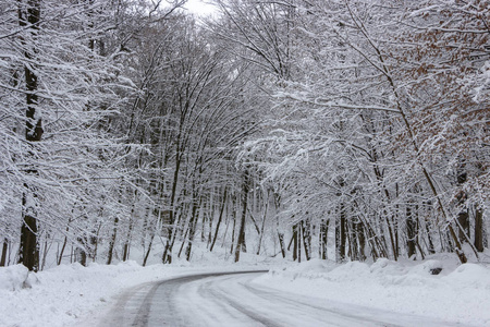 冬天的路上，森林和树木在阴天的雪背景下