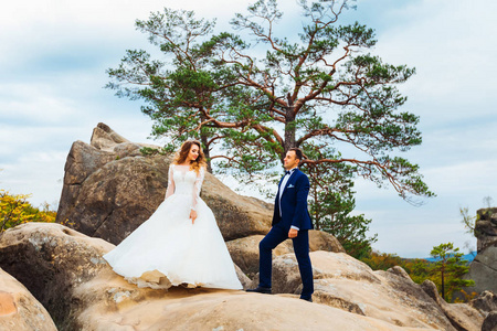新婚夫妇在树附近的岩石上