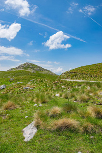 黑山共和国国家公园群山之间的风景如画的道路