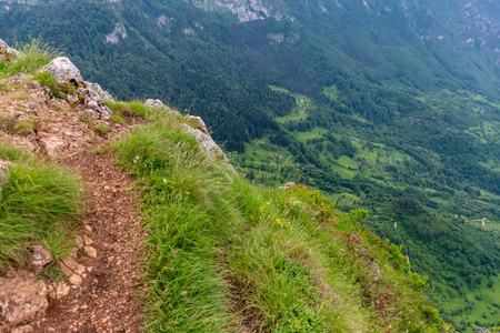 高山绿深峡谷全景